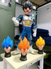 NEKOTENSEI™ Dragon Ball Z Vegeta Models