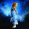 NEKOTENSEI™ Dragon Ball Z Majin Vegeta