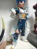 NEKOTENSEI™ Dragon Ball Z Vegeta Models
