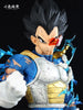 NEKOTENSEI™ Dragon Ball Z Vegeta Models